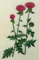 アザミ 植木刺繍 花の刺繍画
